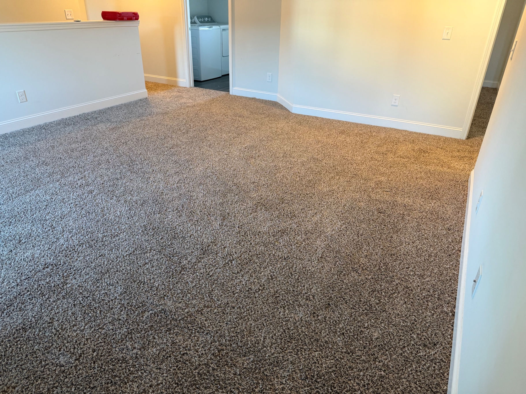 Carpet refresh — after
