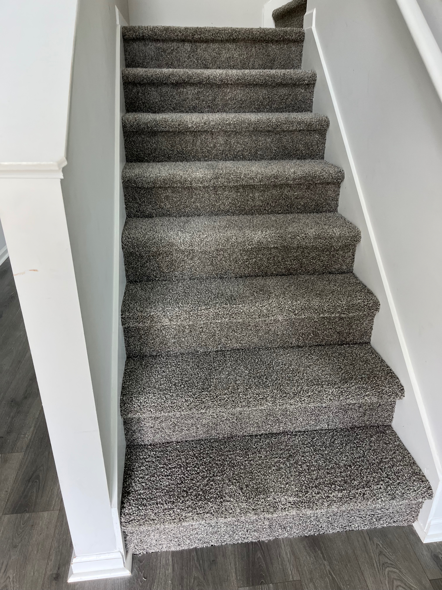 Gray carpeted staircase seen from the base with white trim