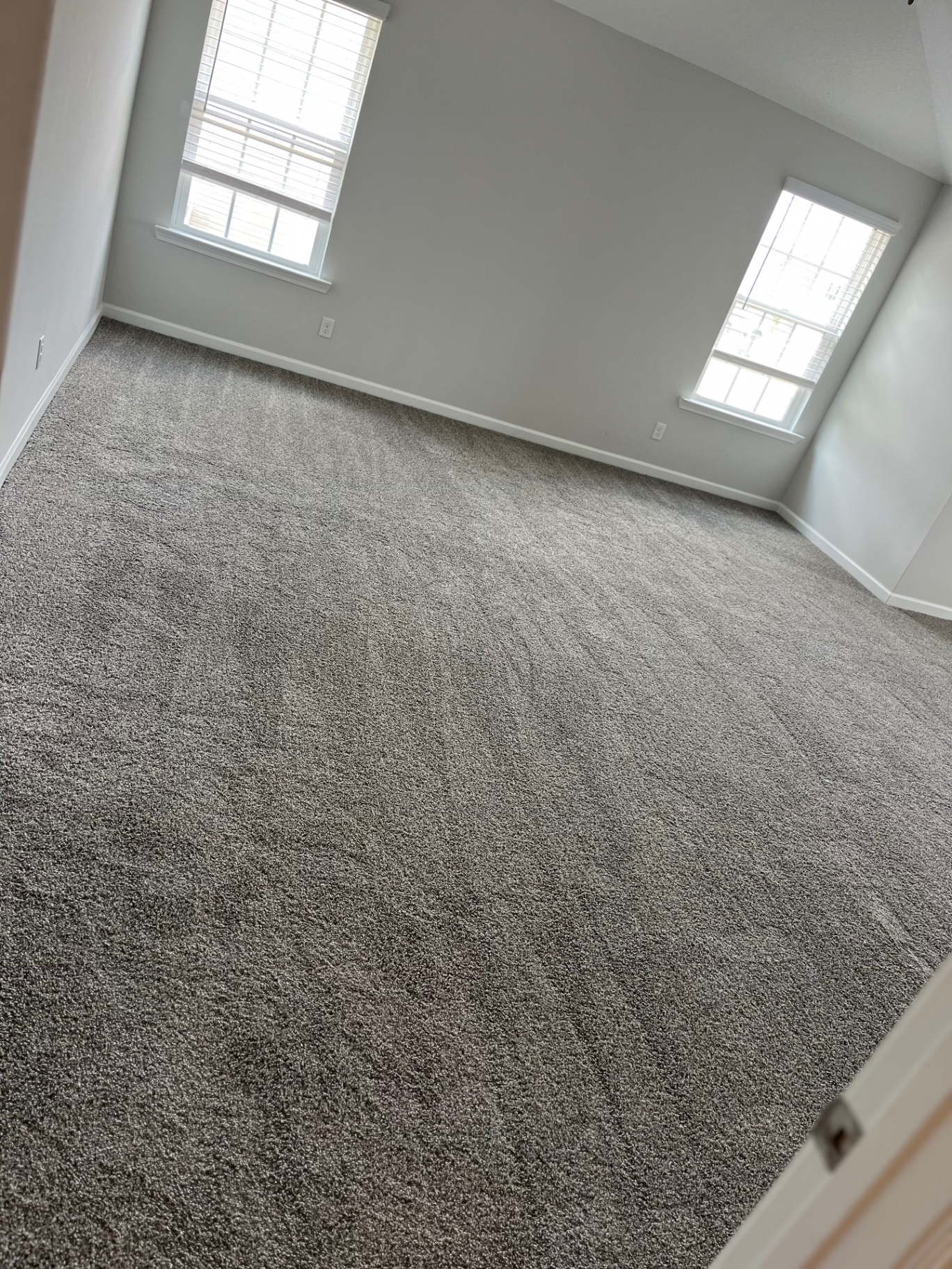 Wall-to-wall gray carpet in a large empty room with white blinds