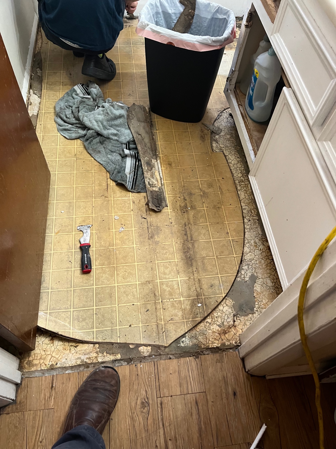 Bathroom flooring — before